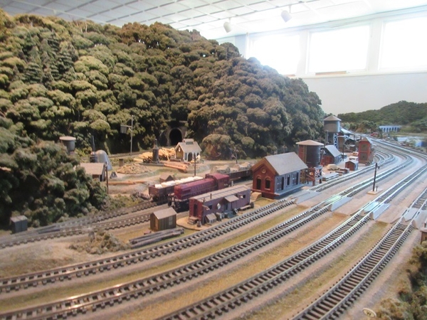 Larry's N gauge layout 19